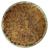 A petri dish filled with granular material and dark particles, viewed from above. Produktbild-Vorschau