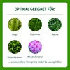 Substral Thuja-Vital Conifers Green - Koncentrované kapalné Náhled obrázku produktu 3