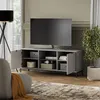 A modern living room with a TV stand, TV, lamp, chair, and plant. Náhled obrázku produktu