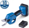 A cordless pruning shear with a battery and charger. Anteprima dell’immagine prodotto