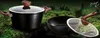 Cookware set displayed on a mossy, natural background. Anteprima dell’immagine prodotto