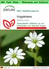 SAFLAX Garden to go - Vogelmiere - Stellaria media - 1000 Produktbild-Vorschau 1