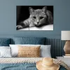 MuchoWow® Poster Katze - Tier - Makro 60x40 cm - Produktbild-Vorschau 4