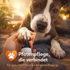 Dr. Pfoten™ KrallenSchleifer Pro - Elektrischer Produktbild-Vorschau 7