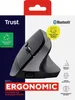 Trust Bayo+ Wiederaufladbare Vertikale Maus Bluetooth + RF Produktbild-Vorschau 9