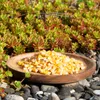 25 kg Lyra Pet® Futtermais Qualitätsfutter Körnermais Produktbild-Vorschau 7
