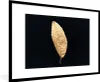 MuchoWow® Gerahmtes Poster Schwarz und Gold - Blätter - Produktbild-Vorschau 1
