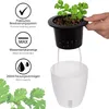 ONVAYA® Kräutertopf selbstwässernd | Wasserstand ablesbar | Produktbild-Vorschau 3