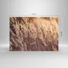 Bilder auf glas - Einteilig - Boho Ähren Feld - 70x50cm - Produktbild-Vorschau 3