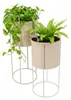 HOWHOMELY | Vasi da fiori - Vasi da giardino - beige - Set Anteprima dell’immagine prodotto 4