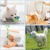 Hundespielzeug Set, 6 Stück Hundespielzeug Kleine Hunde, Produktbild-Vorschau 3