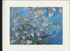 Vincent Van Gogh Gerahmtes Bild Mit Edlem Passepartout | Produktbild-Vorschau 1