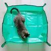 A cat is lying on a green gardening mat. Produktbild-Vorschau