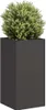 A tall, dark gray planter with a green and white shrub inside, set against a white background. Anteprima dell’immagine prodotto