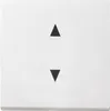 Gira WIPPE PFEILSYMBOLE SYS55 RWS (861603) Produktbild-Vorschau 1