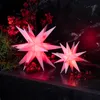 Two illuminated pink star-shaped decorative lights are placed on a dark surface, surrounded by red dried flowers and green foliage. Produktbild-Vorschau