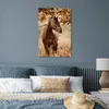 MuchoWow® Poster Pferd - Sonne - Porträt - Natur - Braun Produktbild-Vorschau 4