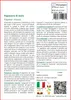 SAFLAX  - Papavero di mais - 27000 semi - Con substrato - Anteprima dell’immagine prodotto 3