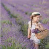 Lavandula FloraSelf Lavandula angustifolia 5-20 cm Anteprima dell’immagine prodotto 2
