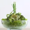 Salatschüssel TOKYO 1500ml Salatschale Glasschüssel Produktbild-Vorschau 3