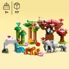 LEGO DUPLO 10974 Dzikie zwierzęta Azji - Odkryj egzotykę i Podgląd zdjęcia produktu 25