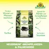 Neudorff NeudoHum Grünpflanzen- & PalmenErde 3L torffreie Produktbild-Vorschau 2
