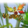 Fischfutter Aquarium Set für Zierfische, 5-teilig mit Produktbild-Vorschau 12