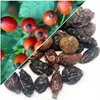 Herbs from Poland Getrocknete Hagebutten für Tee, Aufguss, Produktbild-Vorschau 2