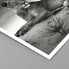 Poster - Poster ohne Rahmen - Tierwelt weiblich katze Tier Produktbild-Vorschau 2