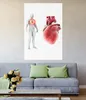Wallario selbstklebendes Poster - Anatomie des Menschen  Produktbild-Vorschau 2