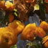 Guerlain Aqua Allegoria Forte Mandarine Basilic - Náhled obrázku produktu 13