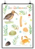 Mr. & Mrs. Panda Bild Wattenmeer DIN A4 - Geschenk, Produktbild-Vorschau 1