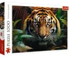 Trefl Puzzle 1000 el. Dziki tygrys, 1000 szt., Animals Podgląd zdjęcia produktu 1