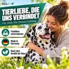 REAVET Chlorella Tabletten für Hunde 500 Stück – Produktbild-Vorschau 7