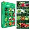 Gemüsesamen Set - 12 Sorten Samen - Saatgut Sortiment - Produktbild-Vorschau 1
