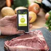 Greentest Eco 6 Licznik Geigera + Tester Azotanów Owoce Podgląd zdjęcia produktu 3