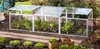 Vitavia Frühbeet Gaia 3X mit 3 ESG-Dachfenstern, 0,9 m² Produktbild-Vorschau 1