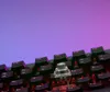 Clavier de jeu sans fil NuPhy WH80, disposition QWERTY Voir les images du produit 8