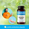 Bioherba Saw Palmeto (Sägepalme) Extrakt 350 mg 100 Kapseln Produktbild-Vorschau 7