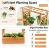 Collage of images showing a wooden planter box with plants, a pergola with hanging plants, and decorative elements. Náhled obrázku produktu