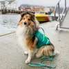 Non-stop dogwear Schwimmweste Protector Life Jacket türkis, Produktbild-Vorschau 10