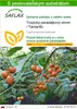SAFLAX - Tropický paradajkový strom / Tamarillo - Náhľad obrázku produktu 1