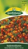Quedlinburger Saatgut - Studentenblumen Bonita - Samen - Produktbild-Vorschau 1