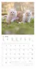 Alpha Edition - Samtpfötchen Kalender 2026 - Wandkalender & Produktbild-Vorschau 5