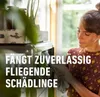 COMPO  Gelbsticker insektizidfrei - 10 Stück Produktbild-Vorschau 4