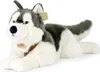 Peluche Husky Con Pettorina 60 Cm Ecologico Anteprima dell’immagine prodotto 1
