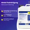 Mr. Perfect Hocheffektiver Pool Randreiniger alkalisch 5L | Produktbild-Vorschau 2