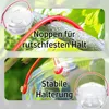 2x Wespenfalle Insektenschutz 18cm groß transparent Produktbild-Vorschau 6