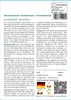 SAFLAX - Amerikanischer Amberbaum - Liquidamber styraciflua Produktbild-Vorschau 3