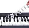 INF Zdejmowane etykiety na pianino i klawiaturę 88 klawiszy Podgląd zdjęcia produktu 1